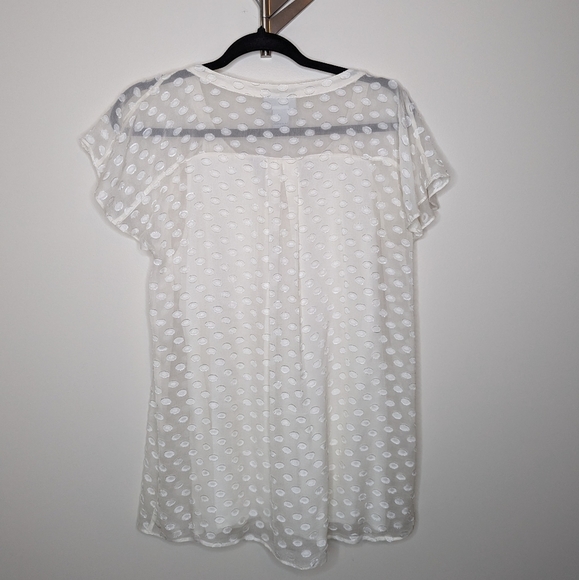 Soft Surroundings Ivory Blouse with Lining | Size Small - Picture 5 of 5